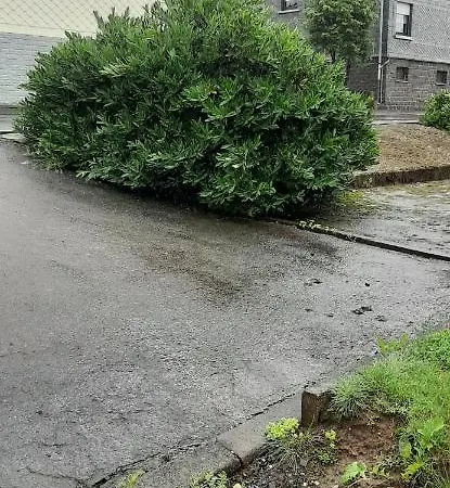 Haus Fuchskaute Monteurzimmer Гостевой дом