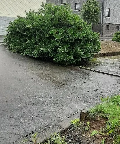 Haus Fuchskaute Monteurzimmer Gæstehus